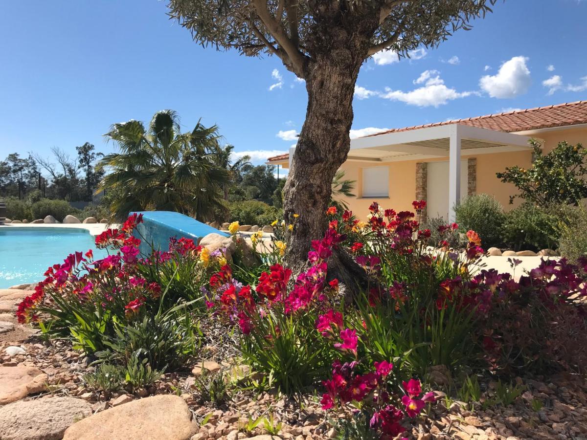 L'Hacienda Piscine Chauffee A 28, Spa, Boulodrome Et Court De Tennis Prives, 2 Villas Independantes Порто-Векио Екстериор снимка